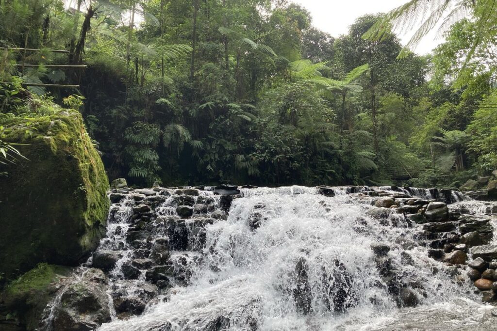 Curug Kondang Bogor Bikin Ketagihan! Simak Rute dari Jakarta dan Harga Tiket Terbarunya